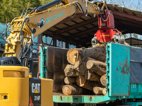 伐採木、端材、木くずの処理・回収
